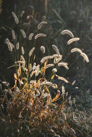 IMG_7000.jpg