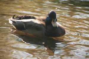 IMG_7092.jpg