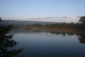 IMG_7198.jpg