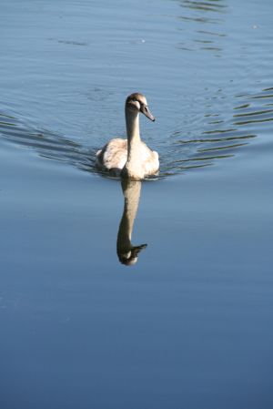 IMG_7402.jpg