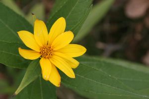 IMG_7449.jpg