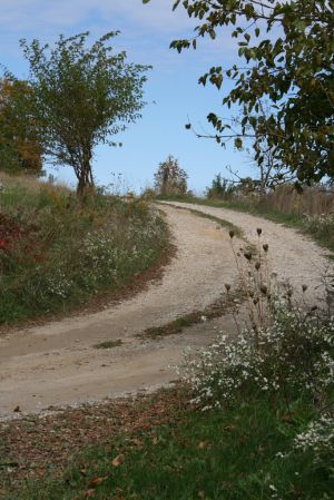 IMG_7461.jpg