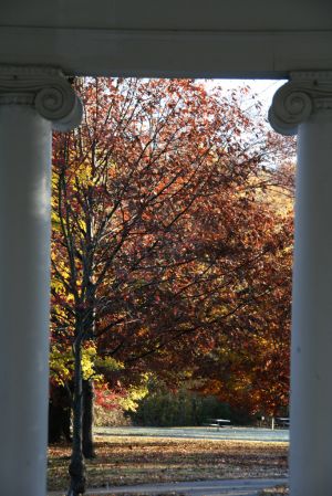 IMG_7829.jpg