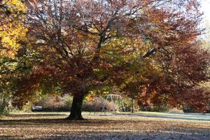 IMG_7839.jpg
