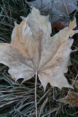 IMG_7855.jpg
