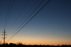 IMG_7999.jpg