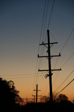 IMG_8001.jpg