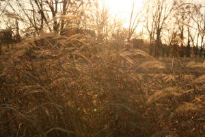 IMG_8045.jpg