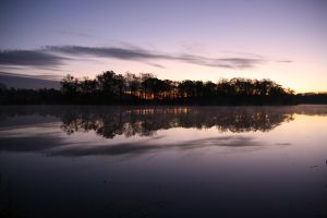 IMG_8144.jpg