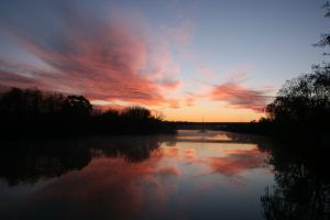 IMG_8153.jpg