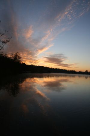 IMG_8165.jpg