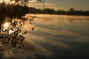 IMG_8190.jpg