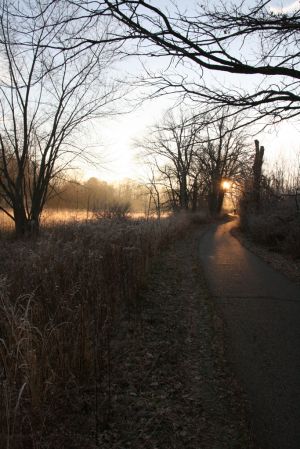 IMG_8326.jpg