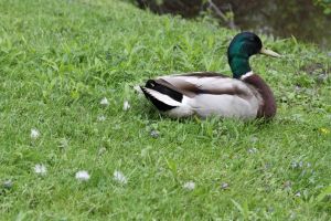 c7-IMG_0543.jpg