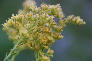 c73-IMG_6948.jpg