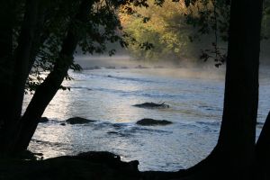 c90-IMG_6971.jpg
