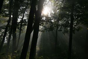 IMG_6982.JPG
