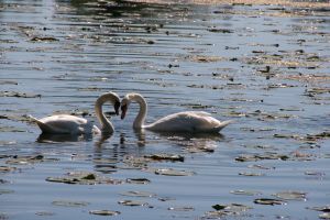 IMG_7435.JPG